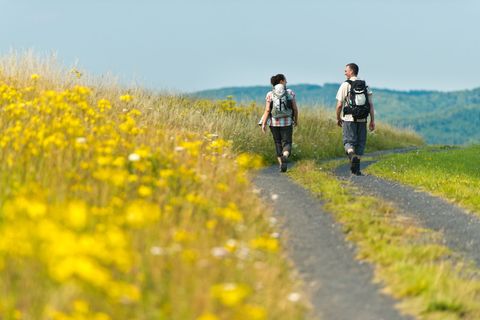 Zwei Wanderer auf einem Weg in der Eifel, umgeben von gelben Blumen und grünen Hügeln.