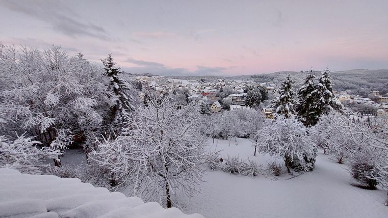 Eine winterliche Landschaft mit schneebedeckten Bäumen und Häusern. Der Himmel ist in sanften Pastellfarben erleuchtet.