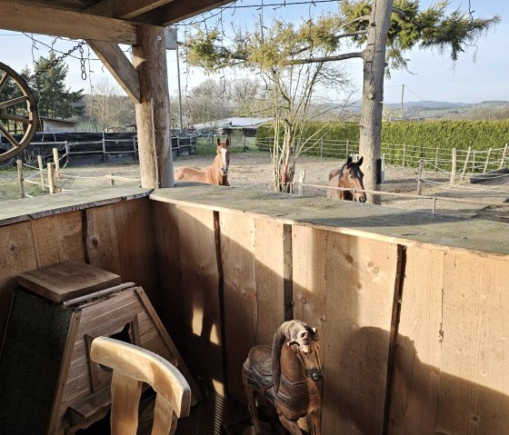 Impressionen Terasse, &copy; Martina Gebert