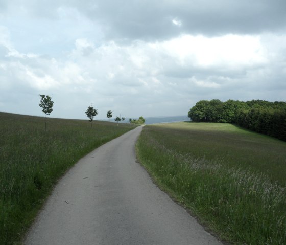 weg-naar-de-kottenborn-kruis, © Gerd Spitzlay