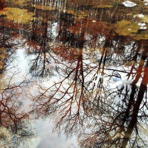 Herbst in der Eifel. Ein Farbenspiel der Natur! Herbstzauber, © Sebastian Schulte