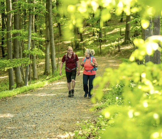 Twee wandelaars lopen over een bospad in de Hoge Eifel. Ze dragen rugzakken en genieten van de groene omgeving., &copy; Eifel Tourismus ET , Dominik Ketz