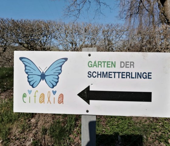 Ahr_Radweg_Eifalia, &copy; TI Hocheifel-N&uuml;rburgring,D.Schmitz