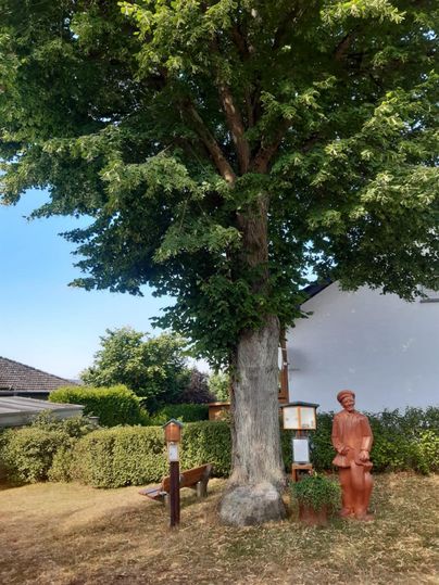 Een grote boom staat in een tuin, naast een terracotta kleurige figuur. Op de achtergrond zijn enkele groene ruimtes en een gebouw zichtbaar.