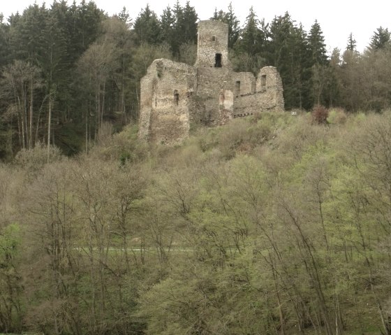 Ruines du château de Neublankenheim, © Willibert Daniels