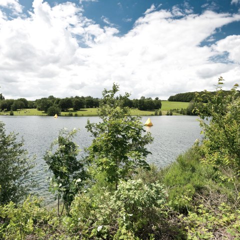 AhrSteig Vue sur la rive du lac de Feilingen, © Ahrtaltourismus e.V.