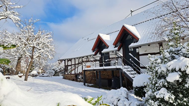 A winter house, surrounded by snow-covered trees and shrubs. The sky is blue with a few clouds.