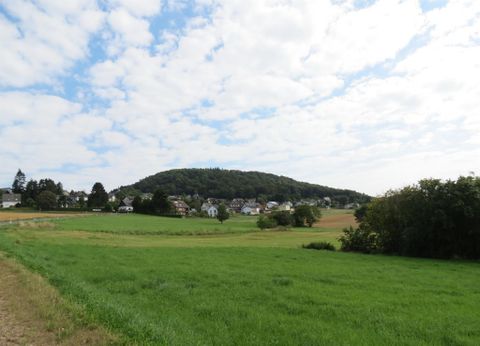 Eine grüne Wiese mit einem kleinen Hügel im Hintergrund. Darüber sind einige Wolken am klaren Himmel zu sehen.