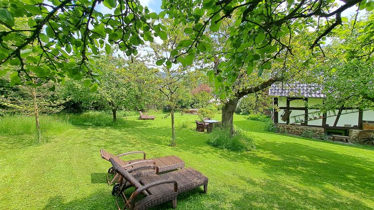 A green meadow with loungers under a tree. In the background, there is a pretty house and more trees visible.