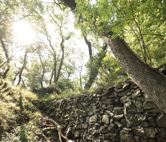 AhrSteig Etappe 6, &copy; Ahrtaltourismus e.V.