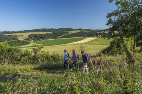 Drei Personen gehen durch eine grüne Landschaft mit Wiesen und sanften Hügeln. Die Umgebung ist sonnig und von blühenden Pflanzen umgeben.