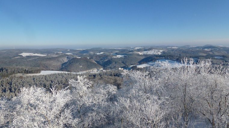 Eine winterliche Landschaft mit schneebedeckten Bäumen und einem klaren blauen Himmel. Die sanften Hügel im Hintergrund sind ebenfalls mit Schnee überzogen.