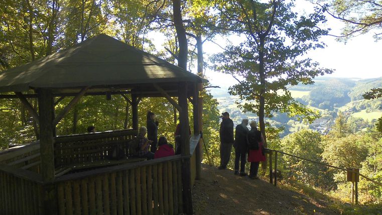 Une plateforme d'observation dans la forêt avec plusieurs personnes regardant au loin. L'environnement est vert avec des arbres et des collines douces en arrière-plan.
