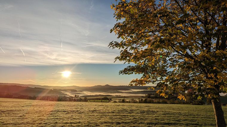 Eine malerische Landschaft mit einem Baum im Vordergrund und der Sonne, die aufgeht. Der Himmel ist klar und die Wiesen sind mit Tau bedeckt.