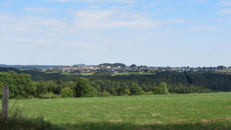 Eine weitläufige grüne Wiese mit Bäumen im Vordergrund. Im Hintergrund ist ein malerisches Dorf in einer hügeligen Landschaft zu sehen.
