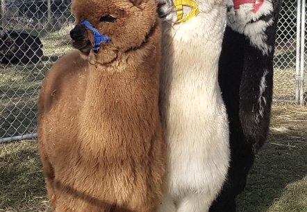 Unsere Namen sind, &copy; M. Terzan