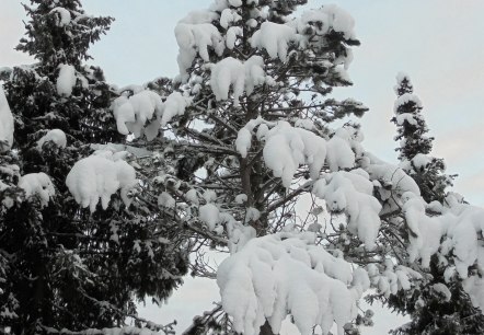 Winterstimmung, &copy; Rita Kaiser