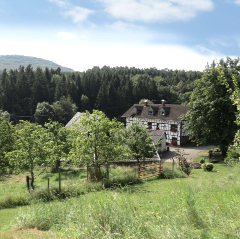 Eichenbach Frohnhofen, © TI Hocheifel-Nürburgring,VG Adenau