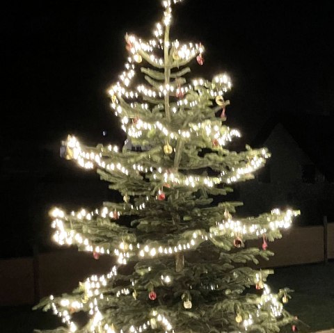 Weihnachtsbaum, © Vanessa Kläsgen