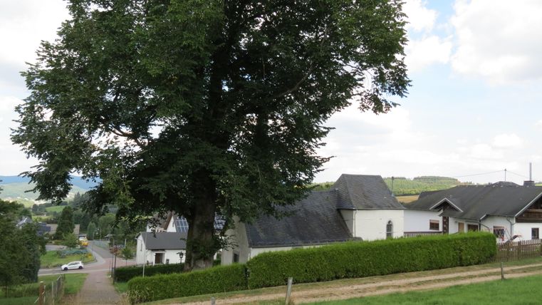 A picturesque landscape with a large tree and several residential houses. The sky is partly cloudy and the surroundings are green.