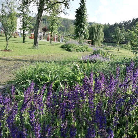 Blüteninsel im Inklusionsgarten, © Tourist-Information Hocheifel-Nürburgring