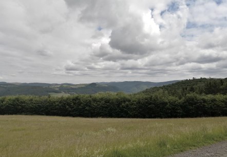 Fernsicht Winnerather Höhe2, © Tourist-Information Hocheifel-Nürburgring, DannySchmitz
