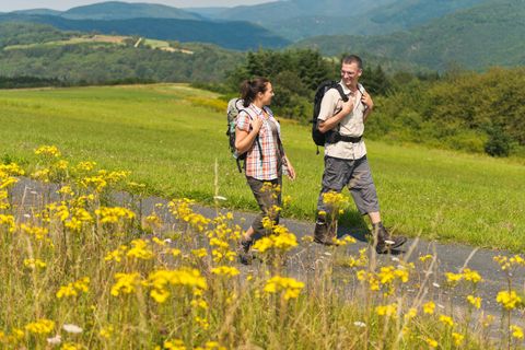 Zwei Personen wandern auf einem Weg durch eine grüne Landschaft mit gelben Blumen im Vordergrund.