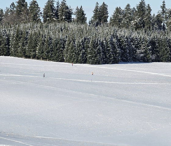 Ski Langlauf an der Hohen Acht, © TI Hocheifel Nuerburgring,M.Witt