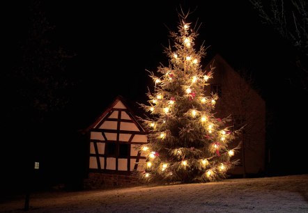 Weihnachtsbaum mit Lichtern neben einem Fachwerkhaus 