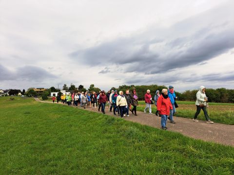 Eine Gruppe von Wanderern spaziert auf einem Weg durch eine grüne Landschaft. Der Himmel ist bewölkt, und die Teilnehmer tragen unterschiedliche Regenjacken.