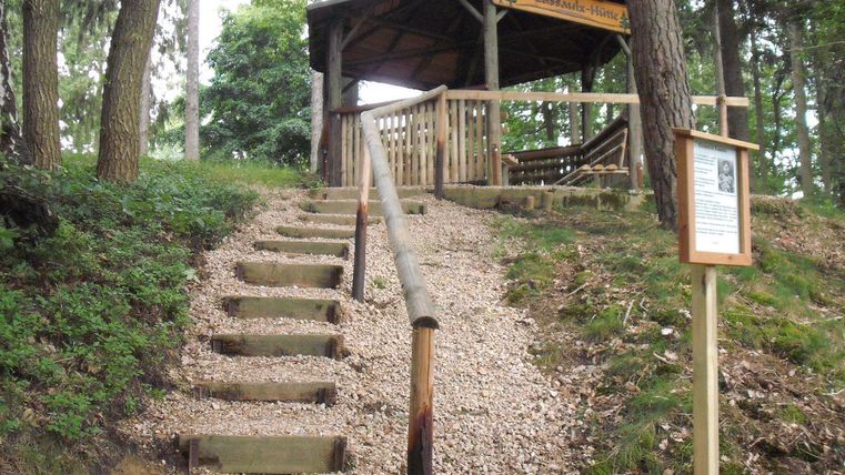 Un chemin en bois conduit à une plateforme d'observation couverte dans la forêt. Entourée d'arbres, la plateforme offre un sanctuaire paisible.