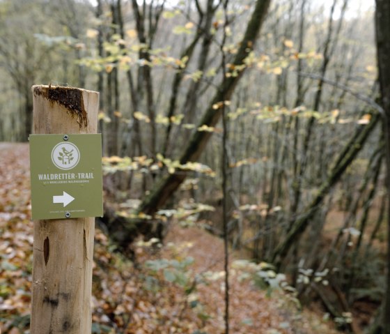Waldretter-Trail_Herbst_HighRes-30, © ©Wohlleben_Waldakademie