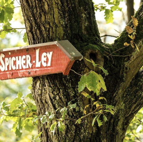 Spicher-Ley_AhrSteig, &copy; Dominik_Ketz