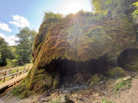 Une formation rocheuse recouverte de mousse, où coule doucement de l'eau. À l'arrière-plan, on aperçoit des arbres et un ciel bleu.