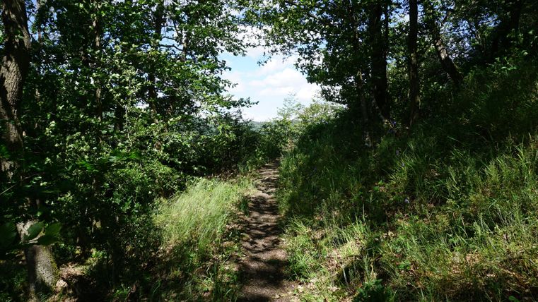 A narrow path leads through a wooded area with plenty of greenery. The sky is partly cloudy and it seems to be sunny.