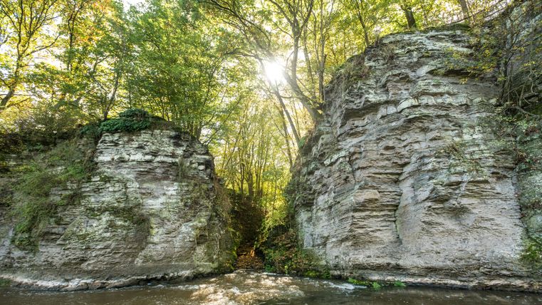 Ein Fluss fließt zwischen zwei hohen, bewaldeten Felswänden hindurch, während Sonnenlicht durch die Bäume scheint.