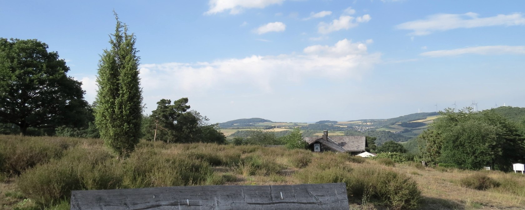 Wacholder in der Eifel, © Traumpfad Wacholderweg © Svenja Schulze-Entrup