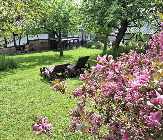 Traumgarten, © Pannhausen