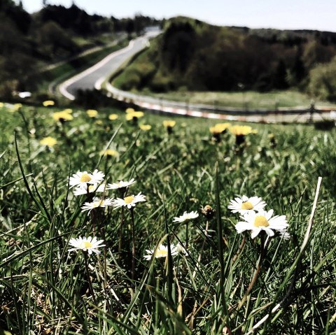 Nordschleife Fr&uuml;hling, &copy; TI Hocheifel-N&uuml;rburgring,S:Schulte