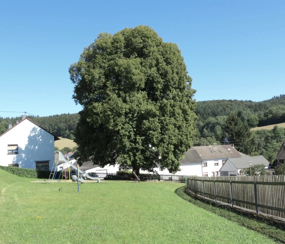 Wirft, &copy; VG Adenau