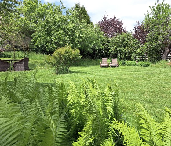 Liegewiese, © Pannhausen