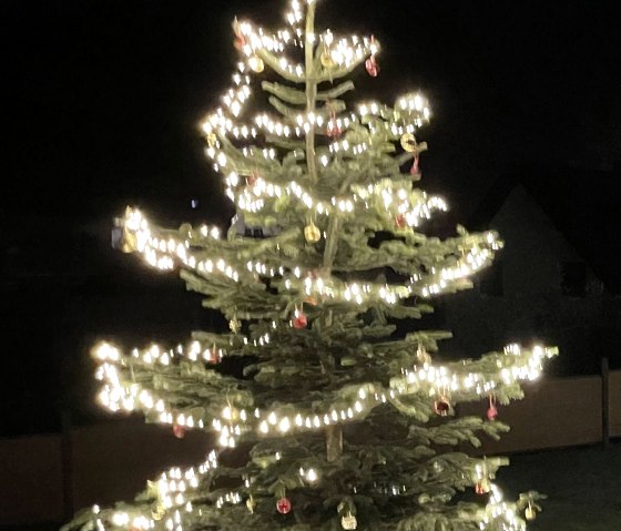 Weihnachtsbaum, © Vanessa Kläsgen