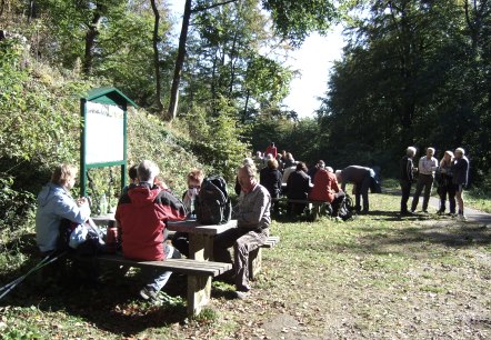 Wanderung Eifelverein, &copy; Daniela Schmitz