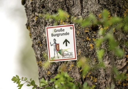 Rundwanderweg um die Burgruine N&uuml;rburg , &copy; TI Hocheifel-N&uuml;rburgring,D.Ketz 