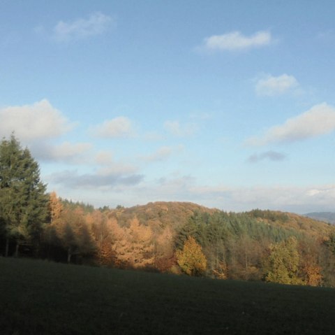 Herbstimpression, &copy; Rita Kaiser