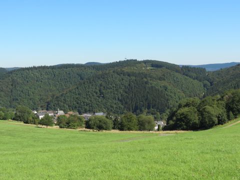 Eine grüne, weitläufige Wiese mit sanften Hügeln im Hintergrund. Der Himmel ist klar und blau, und die Landschaft ist von Bäumen umgeben.