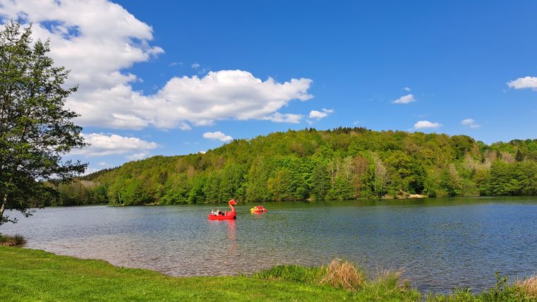 A quiet lake surrounded by green trees and meadow. Red boats are floating in the water under a blue sky with white clouds.
