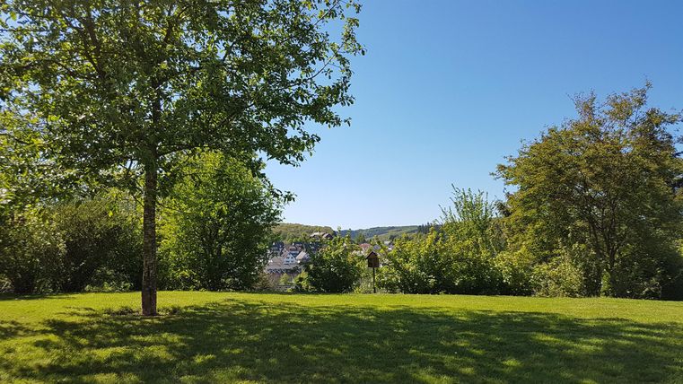 Ein grüner Rasen mit Bäumen unter einem klaren blauen Himmel. Im Hintergrund sind sanfte Hügel zu sehen.