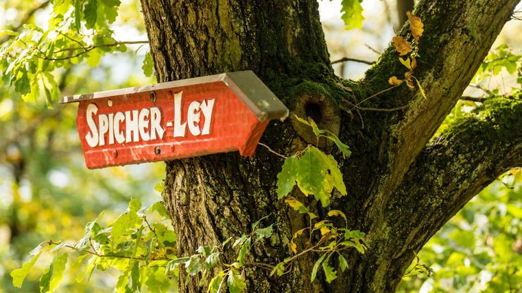 Ein rotes Holzschild mit der Aufschrift „Spicher-Ley“ hängt an einem Baum. Um den Baum herum sind grüne Blätter sichtbar.