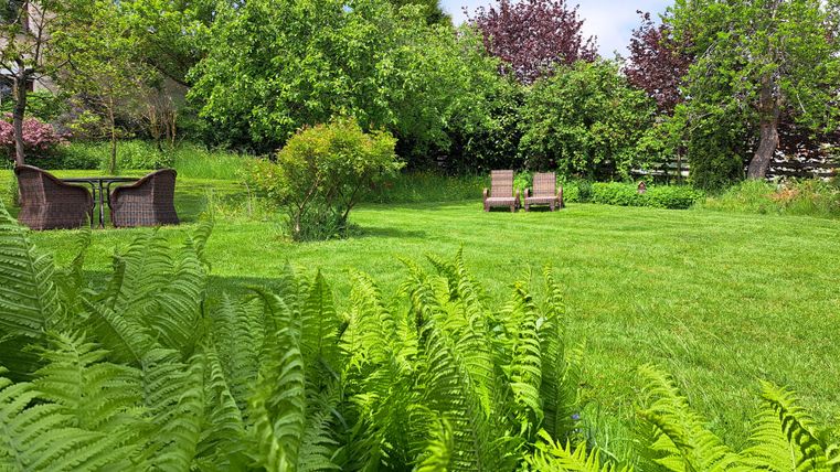 Garden from a different perspective